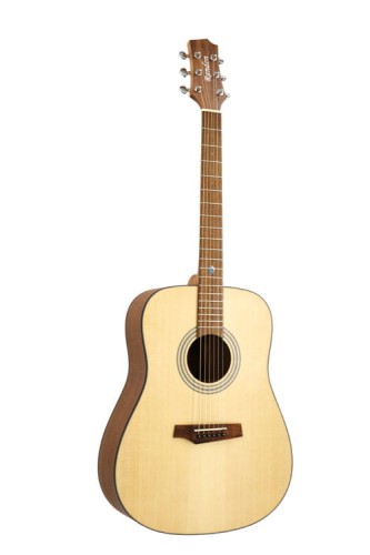 Gitara Akustyczna Randon RGI-01 - Świerk i Mahoń
