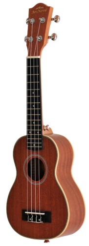 ars nova an-100s side