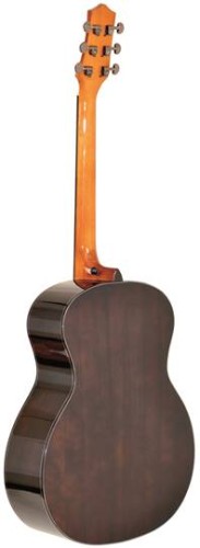 gitara akustyczna ars nova an-805
