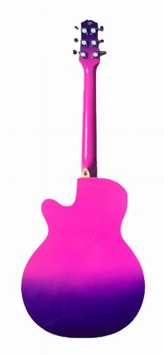 gitara akustyczna gypsy rose pp