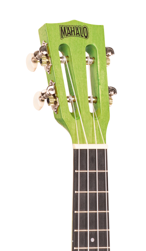 ML2SG_head.png