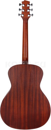 randon acm back.jpg
