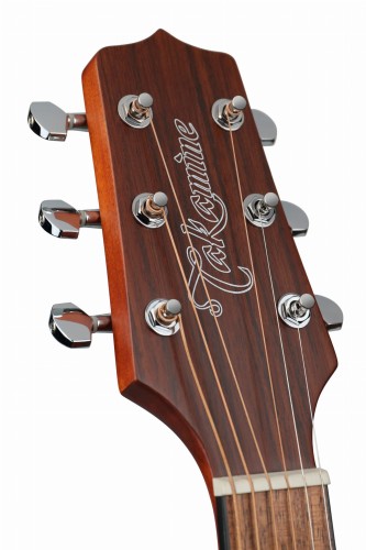 TAKAMINE_GLD12E-NS(13).jpg