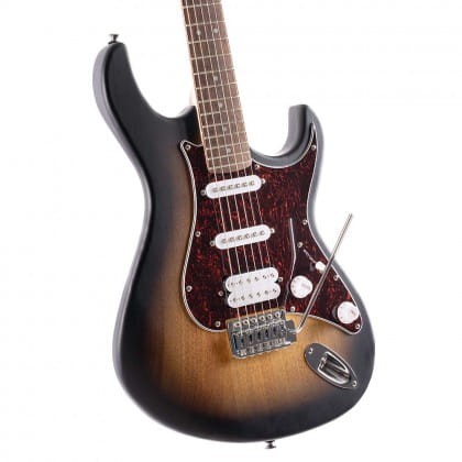 cort g110 opsba.jpg