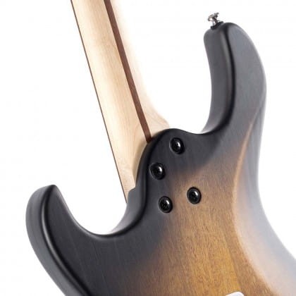cort g110 opsbb.jpg