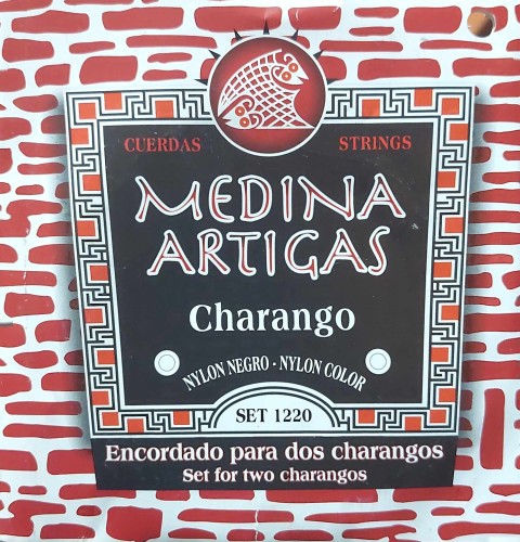 struny charango czarne.jpg