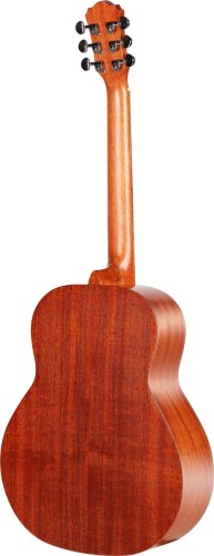 gitara bg1a.jpg