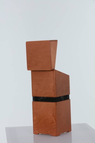pol_pl_Wzmacniacz-do-instrumentow-akustycznych-ACUS-ALLAROUND-4-WOOD-358_5.jpg