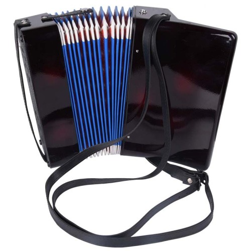 akordeon zenek bkc.jpg