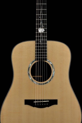 Gitara akustyczna KEPMA G1-D N