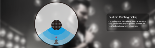 Mikrofon dynamiczny CAROL GS-55