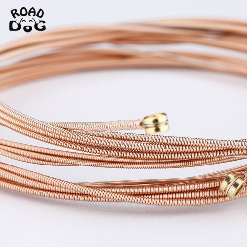 Struny do gitary akustycznej ROAD DOG KC10