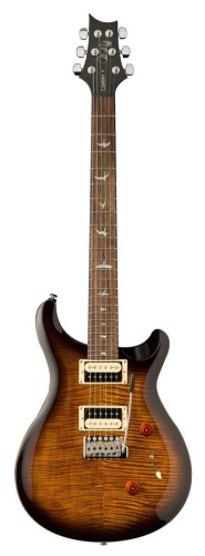 prs custom.jpg