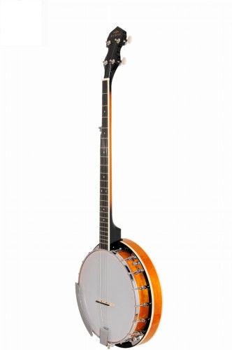 banjo 5 strun.jpg