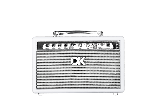Wzmacniacz do gitary akustycznej DK Technology iC-30