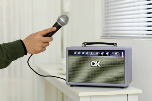 Wzmacniacz do gitary akustycznej DK Technology iC-30