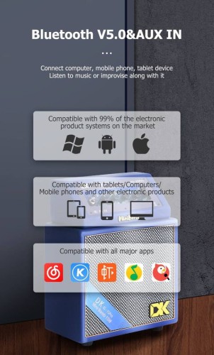 Wzmacniacz do gitary elektrycznej DK Technology iG-15Pro