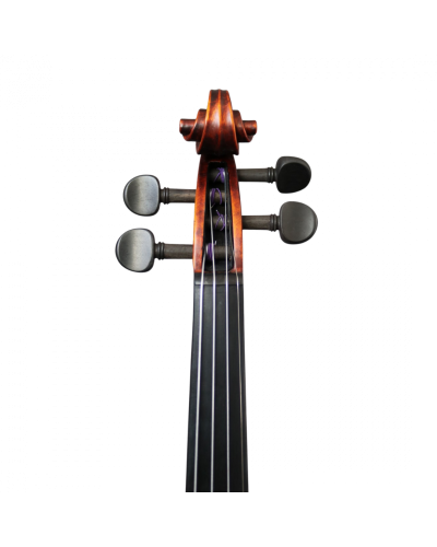 Skrzypce 4/4 Stentor ELYSIA 1875-4 + Futerał i Smyczek