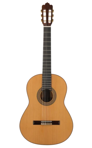 Prodipe Soloist 900 – gitara klasyczna 4/4