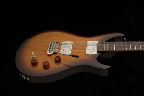 PRS SE DGT Standard Moons 2026 McCarty Tobacco Sunburst - gitara elektryczna