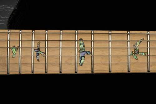 PRS SE NF53 2026 Black Doghair - gitara elektryczna