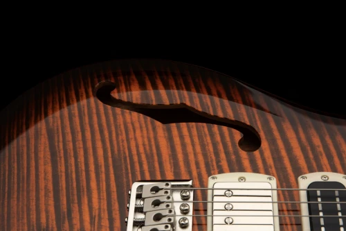 PRS SE Special Semi-Hollow 2026 Orange Tiger Smokeburst - gitara elektryczna