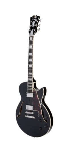 D'Angelico Premier SS Black Flake - gitara elektryczna