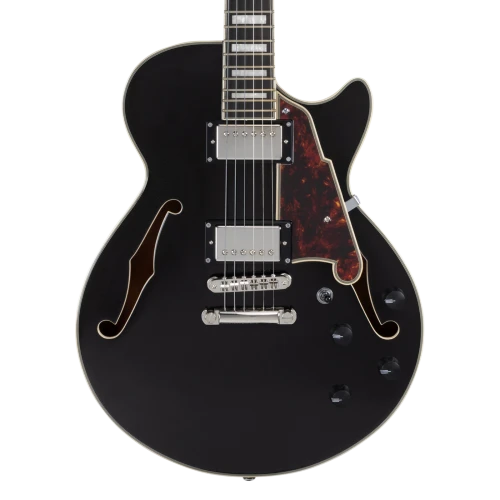 D'Angelico Premier SS Black Flake - gitara elektryczna