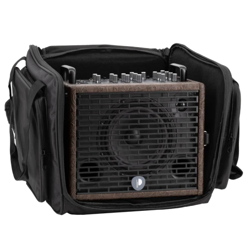 Prodipe Traveler 6 - combo akustyczne 120W