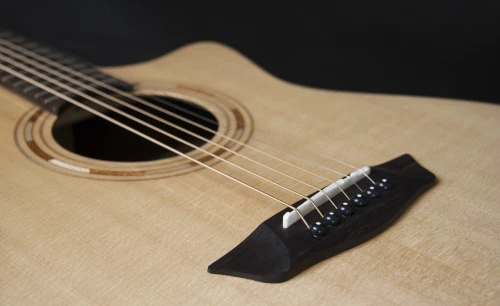 Gitara Elektro-akustyczna WASHBURN WCG 20 SCE (N)