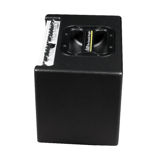 Wzmacniacz do gitary akustycznej AER COMPACT 60 IV combo