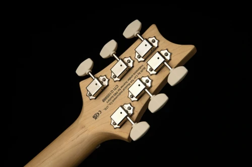 PRS SE NF53 2026 White Doghair - gitara elektryczna