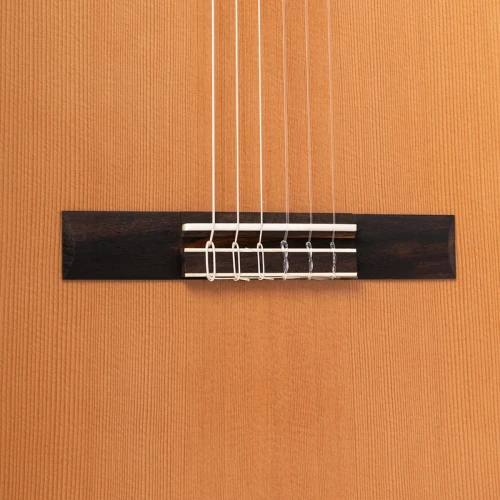 Angel Lopez Alicante CM - gitara klasyczna, rozmiar 4/4