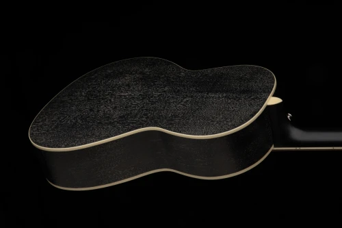 PRS SE Angelus P20E Doghair - gitara elektro-akustyczna