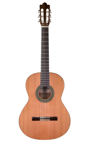 Prodipe Guitars Recital 300 4/4 - gitara klasyczna