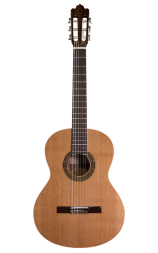 Prodipe Guitars Recital 200 4/4 - gitara klasyczna