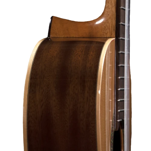Prodipe Guitars Recital 200 4/4 - gitara klasyczna