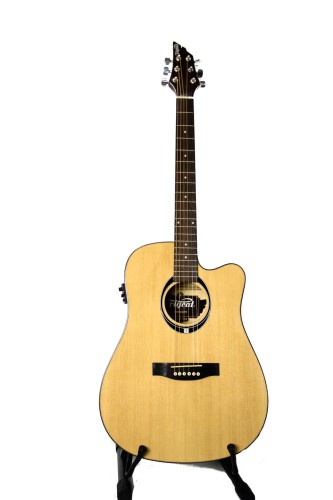Gitara elektroakustyczna Flycat C100 NAT EQ tuner