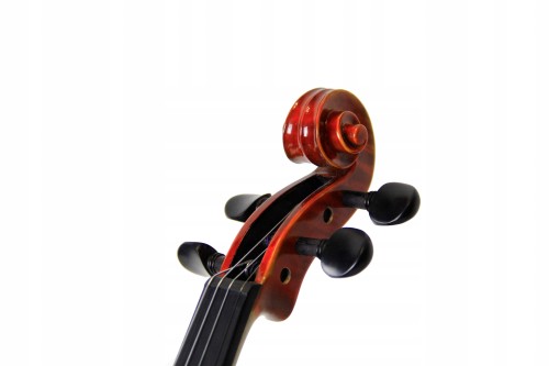 Antonio Salvatini ASV-860 skrzypce 4/4 komplet