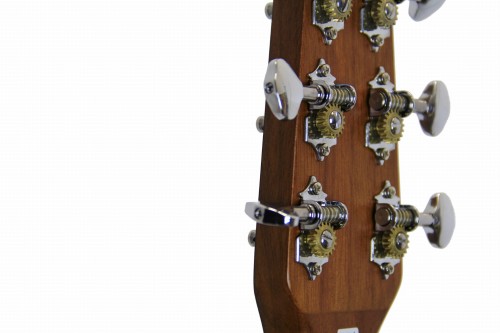 Baton Rouge L1LS/DCE gitara elektroakustyczna