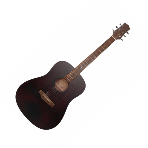 Randon RGI-10VT gitara akustyczna solid top NOWOŚĆ