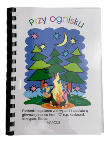 Przy Ognisku Stanisław Wiśniewski